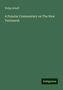 Philip Schaff: A Popular Commentary on The New Testament, Buch