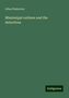 Allan Pinkerton: Pinkerton, A: Mississippi outlaws and the detectives, Buch