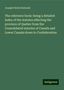 Joseph Féréol Dubreuil: The reference book: being a detailed index of the statutes affecting the province of Quebec from the Consolidated statutes of Canada and Lower Canada down to Confederation, Buch