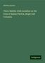 Whitley Stokes: Three Middle-Irish homilies on the lives of Saints Patrick, Brigit and Columba, Buch