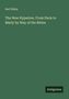 Earl Shinn: The New Hyperion. From Paris to Marly by Way of the Rhine, Buch