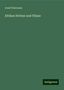 Josef Chavanne: Chavanne, J: Afrikas Ströme und Flüsse, Buch