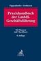 : Praxishandbuch der GmbH-Geschäftsführung, Buch