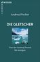 „Andrea Fischer, DIE GLETSCHER, Von der letzten Eiszeit bis morgen“ über einem Foto eines Gletschers mit blauem Himmel., Buch