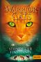 Erin Hunter: Warrior Cats Staffel 1/06. Stunde der Finsternis, Buch