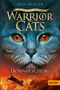 Erin Hunter: Warrior Cats Staffel 5/02 Der Ursprung der Clans. Donnerschlag, Buch