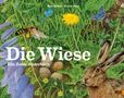 Hans Baltzer: Die Wiese, Buch, Buch