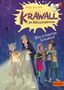 "Krawall im Klassenzimmer. Das schaurige Schulfest. Vier Kinder in einem gruseligen Korridor, begleitet von Spinnen.", Buch