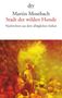 Martin Mosebach: Stadt der wilden Hunde, Buch