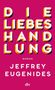 Text: "DIE LIEBESHANDLUNG", "ROMAN", "JEFFREY EUGENIDES", "dtv". Großbuchstaben in auffälligen Farben., Buch