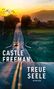 "CASTLE FREEMAN" "TREUE SEELE" "ROMAN". Eine Straße führt zu einem Auto im Sonnenuntergang, umgeben von Landschaft., Buch