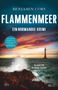 Benjamin Cors: Flammenmeer, Buch