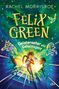 Rachel Morrisroe: Felix Green - Geisterseher und Geheimagent, Buch
