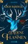 Leigh Bardugo: Goldene Flammen, Buch