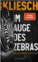 Vincent Kliesch: Im Auge des Zebras, Buch