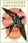 "Cassandra Brunstedt, ZWISCHEN HIMMEL UND HIER, Roman. Drei Schwalben fliegen, große im Vordergrund, helle Hintergründe.", Buch