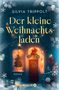 „Silvia Trippolt, Der kleine Weihnachtsladen, Roman, Knaur.“ Ein festlich dekoriertes Geschäft mit Lichtern und Schneeflocken., Buch