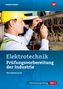 Markus Schindzielorz: Prüfungsvorbereitung für die industriellen Elektroberufe. Teil 1 der Abschlussprüfung, Buch