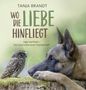 Tanja Brandt: Wo die Liebe hinfliegt, Buch, Buch