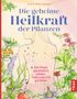 Maria Noel Groves: Die geheime Heilkraft der Pflanzen, Buch