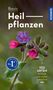 Eva-Maria Dreyer: Basic Heilpflanzen, Buch