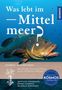 Titel: "Was lebt im Mittelmeer?" Ein großer Fisch schwimmt im blauen Wasser. Logos und Autoren am unteren Bildrand.