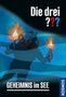 Text: "Die drei ???", "GEHEIMNIS im SEE". Illustration: Taucher mit Fackeln im Wasser. Logo "KOSMOS" am Rand., Buch