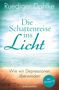 Ruediger Dahlke: Die Schattenreise ins Licht, Buch