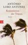 António Lobo Antunes: Kommission der Tränen, Buch