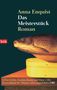 Anna Enquist: Das Meisterstück, Buch, Buch
