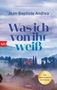 "Was ich von ihr weiß" von Jean-Baptiste Andrea, btb Verlag. Landschaft mit Hügeln und Zypressen im Nebel. Roman., Buch