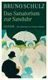 Bruno Schulz: Das Sanatorium zur Sanduhr, Buch, Buch