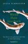 Julia Schnetzer: Wenn Haie leuchten, Buch, Buch