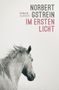 Norbert Gstrein: Im ersten Licht, Buch