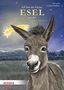 Lise Lotte: Ich bin der kleine Esel aus der Weihnachtsgeschichte (Pappbilderbuch), Buch