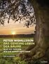 Peter Wohlleben: Das geheime Leben der Bäume, Buch