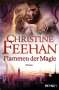 Christine Feehan: Flammen der Magie, Buch