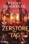 "Zerstöre den Tag" von Brigid Kemmerer. Ein zerstörter Thronsaal im Sonnenuntergang mit Blumen im Vordergrund., Buch