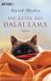 David Michie: Die Katze des Dalai Lama, Buch