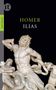 Homer: Ilias, Buch, Buch