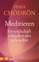 Pema Chödrön: Meditieren - Freundschaft schließen mit sich selbst, Buch