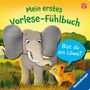 Kathrin Lena Orso: Mein erstes Vorlese-Fühlbuch: Bist du ein Löwe?, Buch