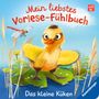 Maria Höck: Mein liebstes Vorlese-Fühlbuch - Das kleine Küken, Buch