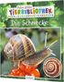 Paul Starosta: Meine große Tierbibliothek: Die Schnecke, Buch