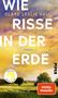 Clare Leslie Hall: Wie Risse in der Erde, Buch