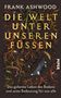 "Frank Ashwood. Die Welt unter unseren Füßen. Das geheime Leben des Bodens und seine Bedeutung für uns alle." Illustration: Wurzeln, Tiere.