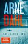 Arne Dahl: Null gleich eins, Buch