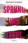 Heinrich Steinfest: Sprung ins Leere, Buch