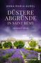Anna-Maria Aurel: Düstere Abgründe in Saint Rémy, Buch