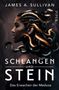 James A. Sullivan: Schlangen und Stein, Buch